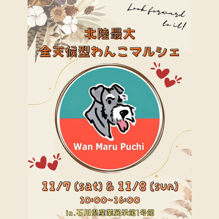 ワンまるプチ vol.13（石川）