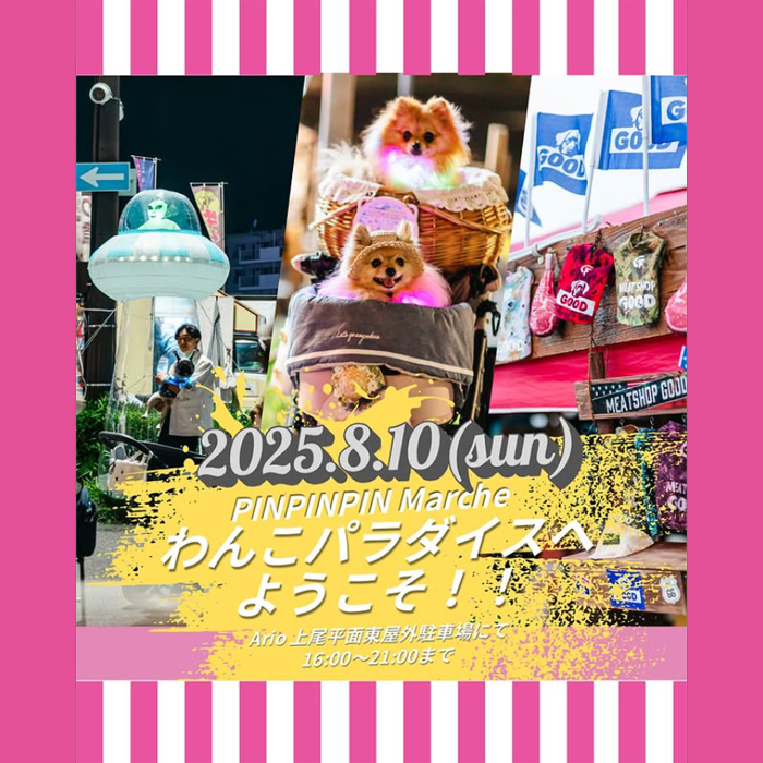 PINPIN Marche Summer Night Party(埼玉)