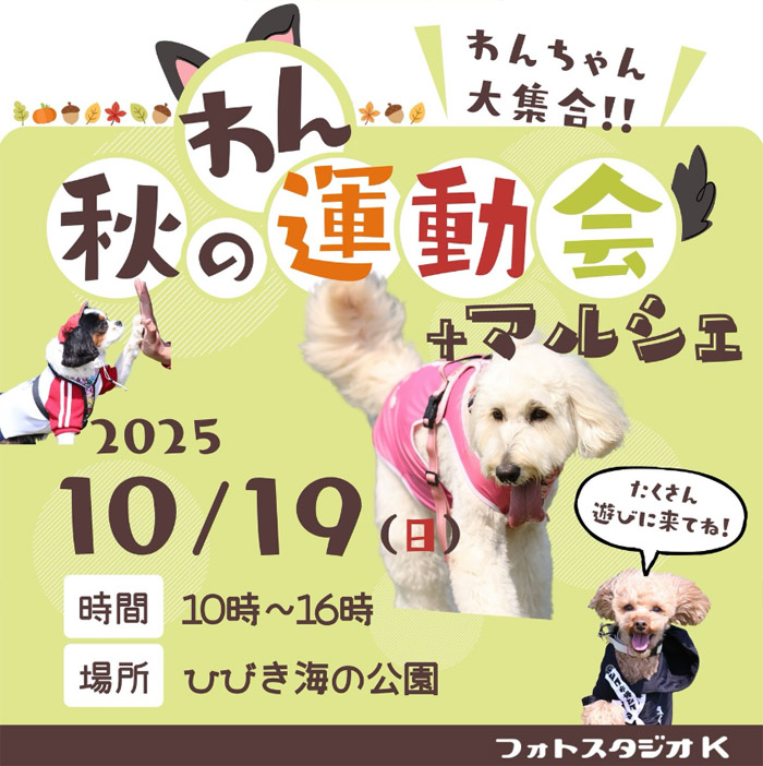 秋のわん運動会&マルシェ(福岡) 秋のわん運動会&マルシェ(福岡)