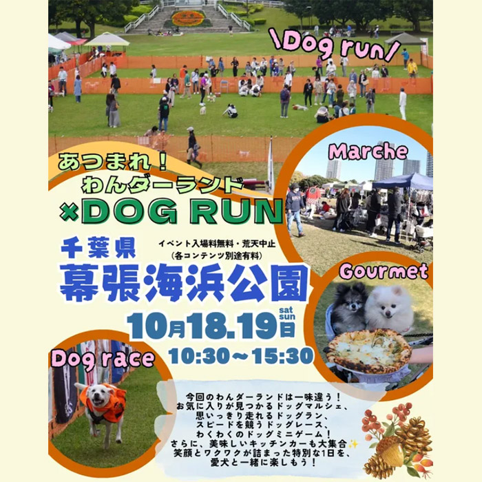 あつまれ!わんダーランド×DOG RUN(千葉) あつまれ!わんダーランド×DOG RUN(千葉)