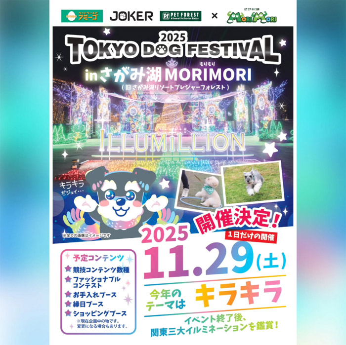 TOKYO DOG FESTIVAL 2025(神奈川) TOKYO DOG FESTIVAL 2025(神奈川)