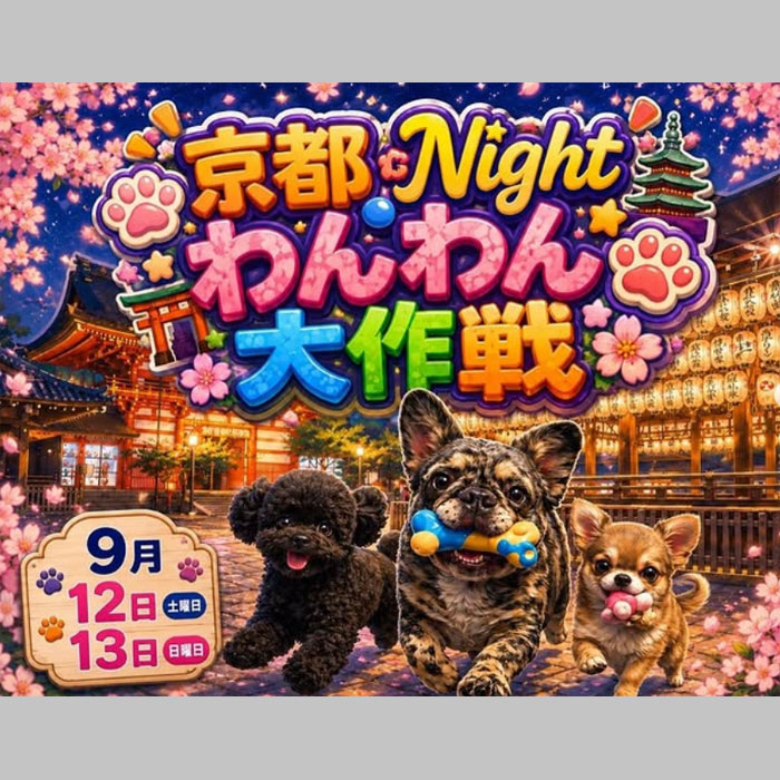 京都Nightワンワン大作戦（京都）