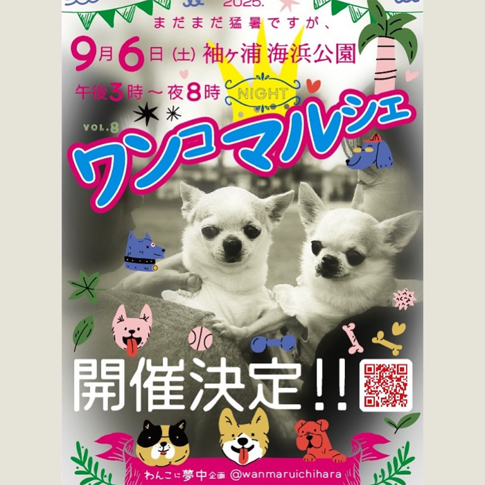 袖ケ浦ワンコマルシェわんわんないとカーニバル（千葉）
