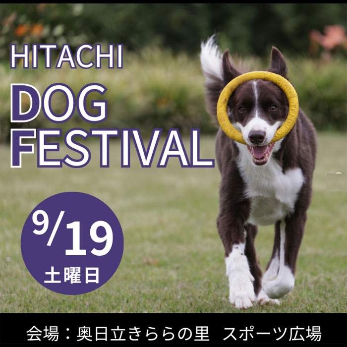 ひたちドッグフェスティバル（茨城）