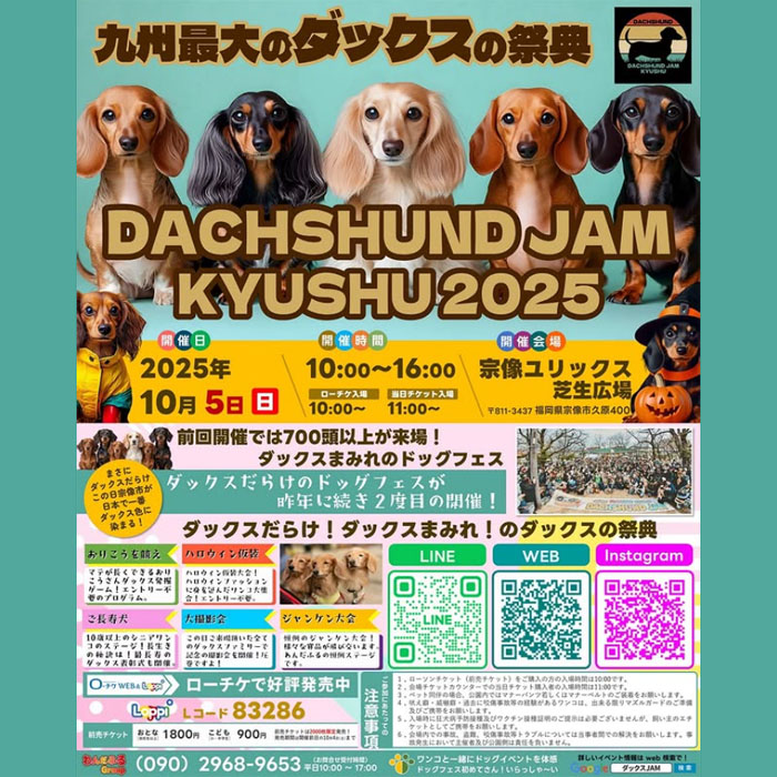 ダックスフンドJAM九州 2025(福岡) ダックスフンドJAM九州 2025(福岡)