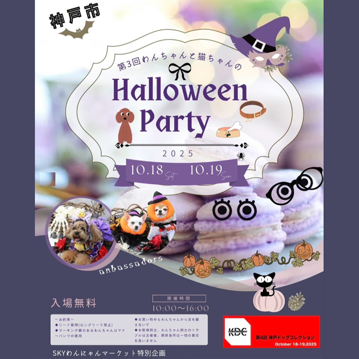 第3回 Dogs&Cats Special Party（兵庫）
