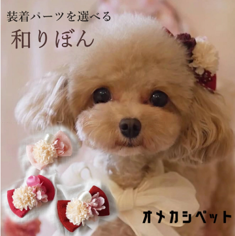 オメカシペット 1