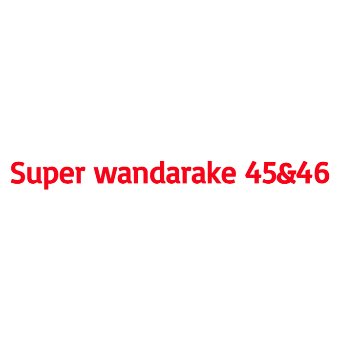 Super wandarake fest ! 45&46 わんだらけフェス（愛知）