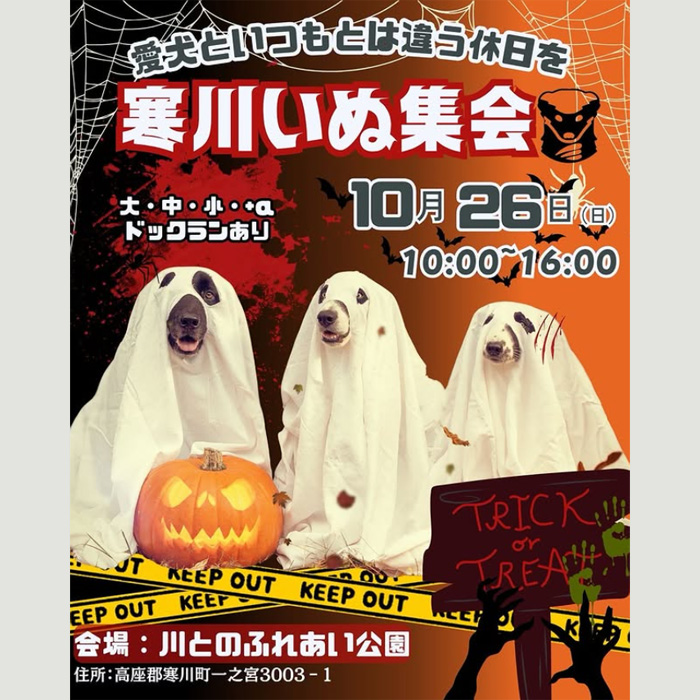 第5回 いぬ集会 in 寒川(神奈川) 第5回 いぬ集会 in 寒川(神奈川)
