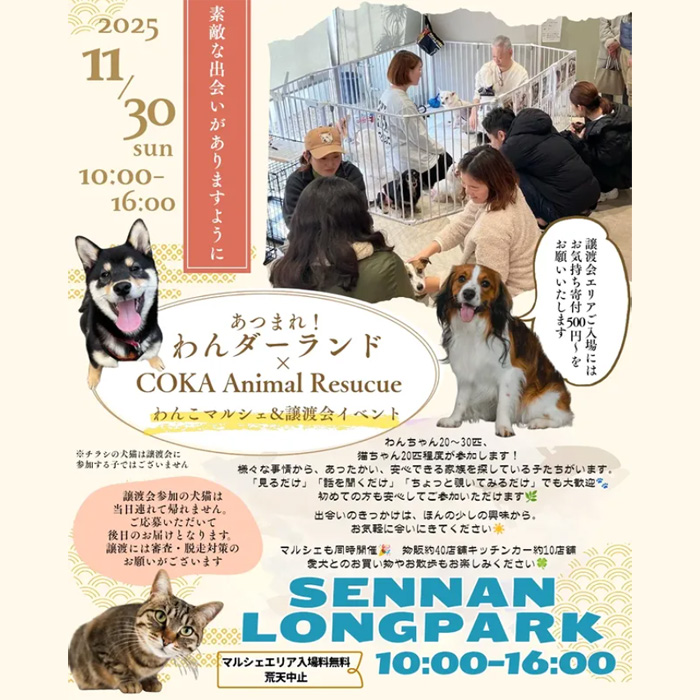 あつまれ！わんダーランド × COKA Animal Rescue（大阪）