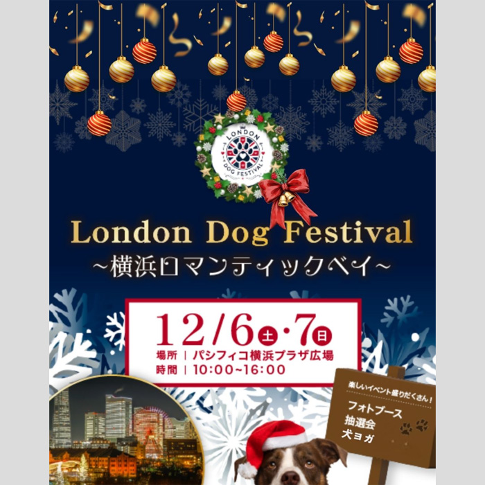 London Dog Festival 2025 ~横浜ロマンティックベイ~(神奈川) London Dog Festival 2025 ~横浜ロマンティックベイ~(神奈川)