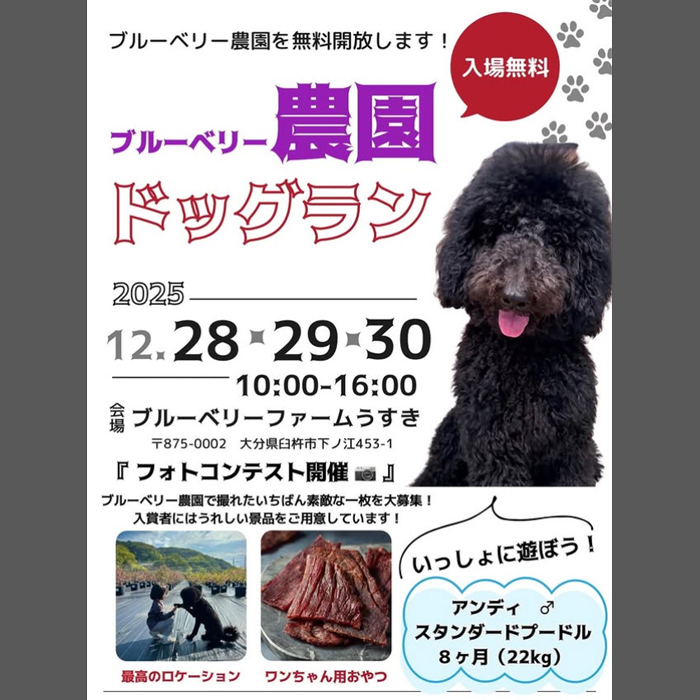 ブルーベリー農園ドッグラン（大分）