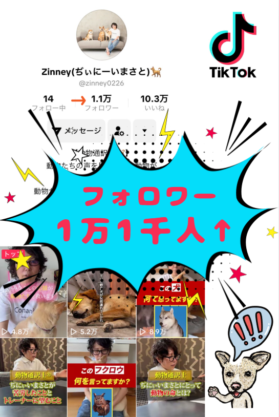 ネコちゃん | 種別 | わんにゃんスマイル