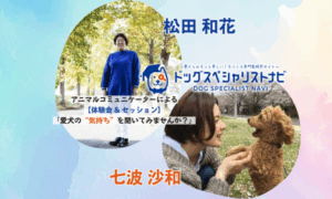 アニマルコミュニケーション 体験会&セッション開催のお知らせ
