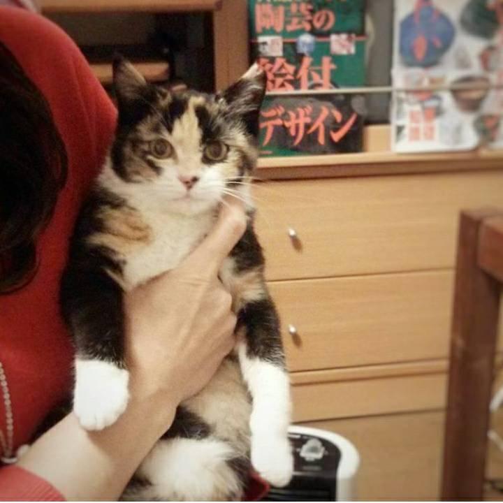 ウランちゃんのお言葉カレンダー 2