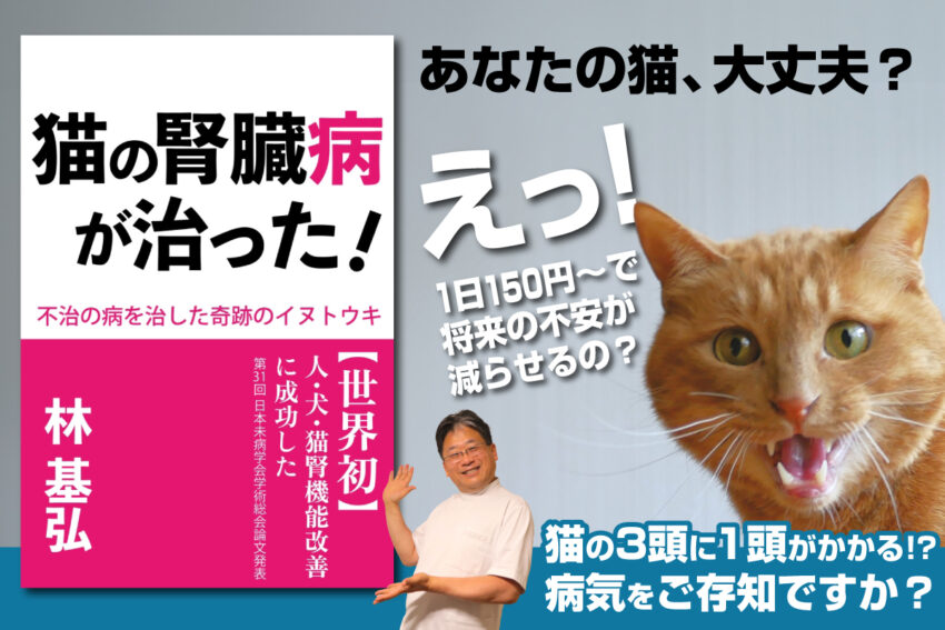 HanaUly 4