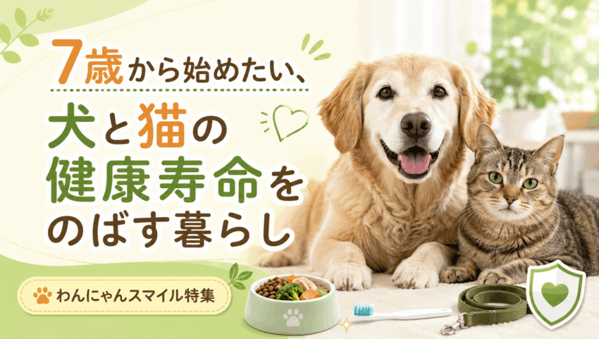 7歳から始めたい、犬と猫の健康寿命をのばす暮らし