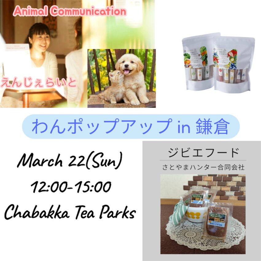 わんポップアップ（神奈川）