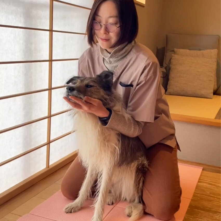 犬猫整体院shApe