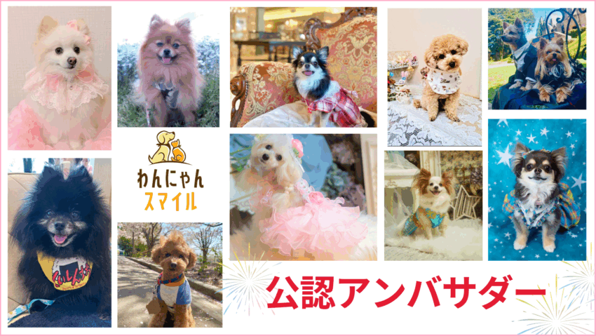 わんにゃんスマイル公認アンバサダー紹介ページ