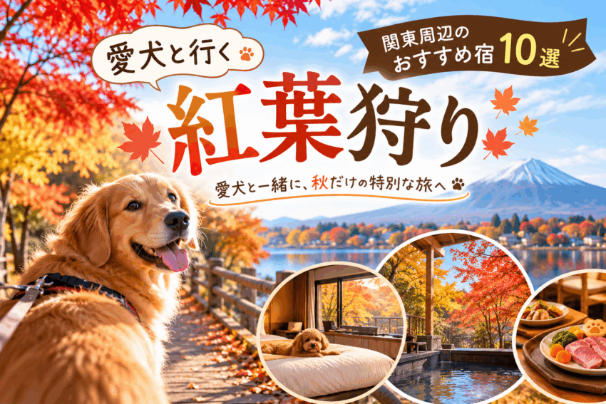 愛犬と紅葉狩りへ!関東周辺の絶景スポット&わんちゃんと泊まれるおすすめ宿10選🍁🐶 愛犬と紅葉狩りへ!関東周辺の絶景スポット&わんちゃんと泊まれるおすすめ宿10選🍁🐶