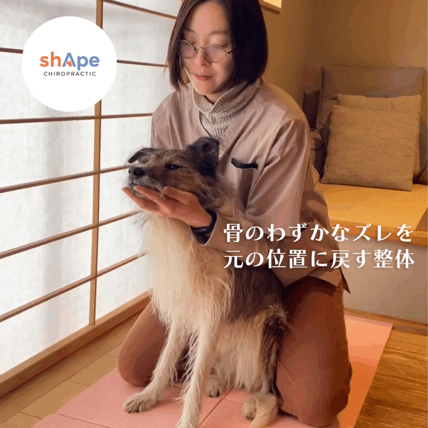 背骨の整体院shApe