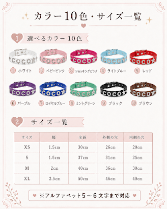 TSRチームシュナウザーレスキュー 1