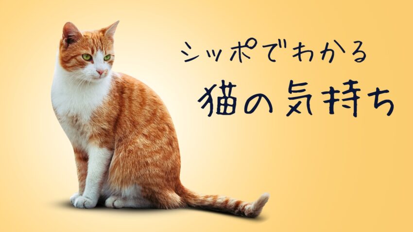 シッポでわかる猫の気持ち