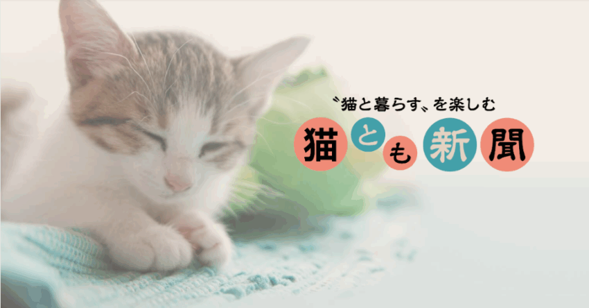 猫とも新聞