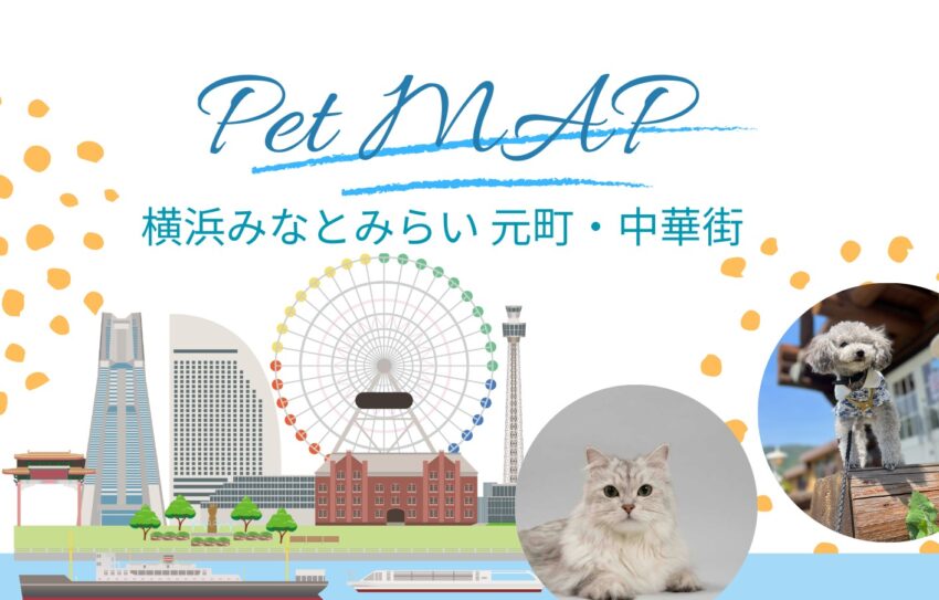 特集 | わんにゃんスマイル
