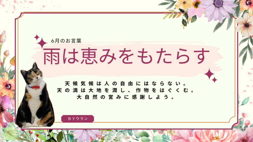 ネコちゃん | 種別 | わんにゃんスマイル