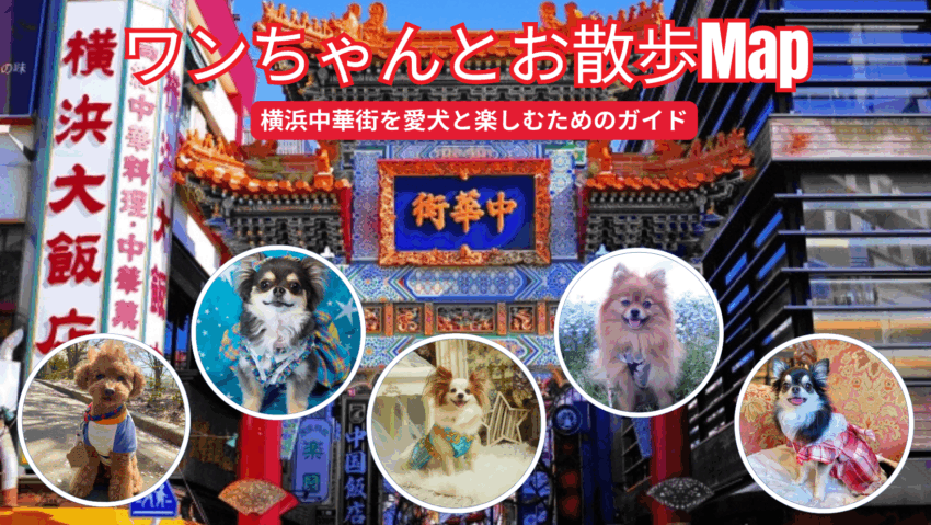 ワンちゃんとお散歩 Map　横浜中華街編