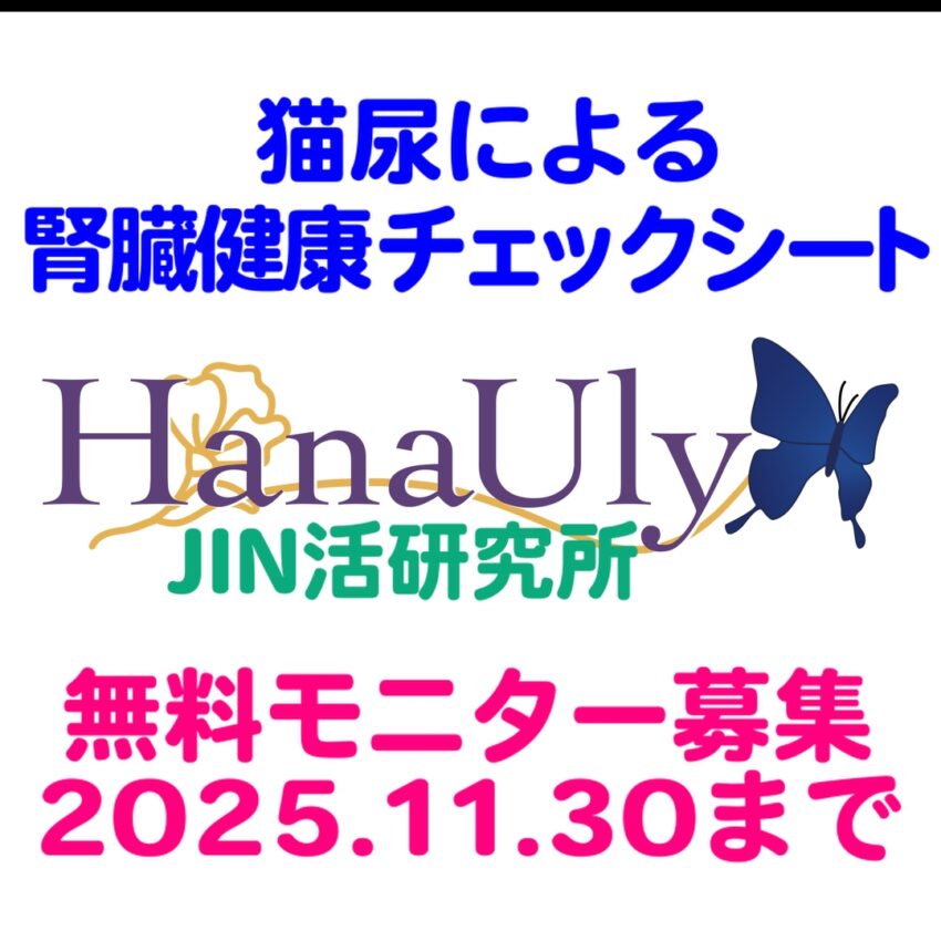 HanaUly 5