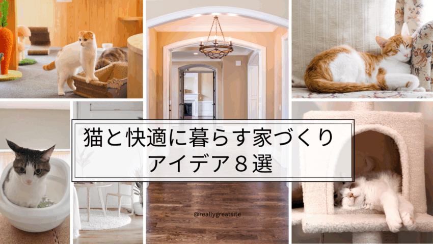 猫と快適に暮らす家づくりアイデア8選