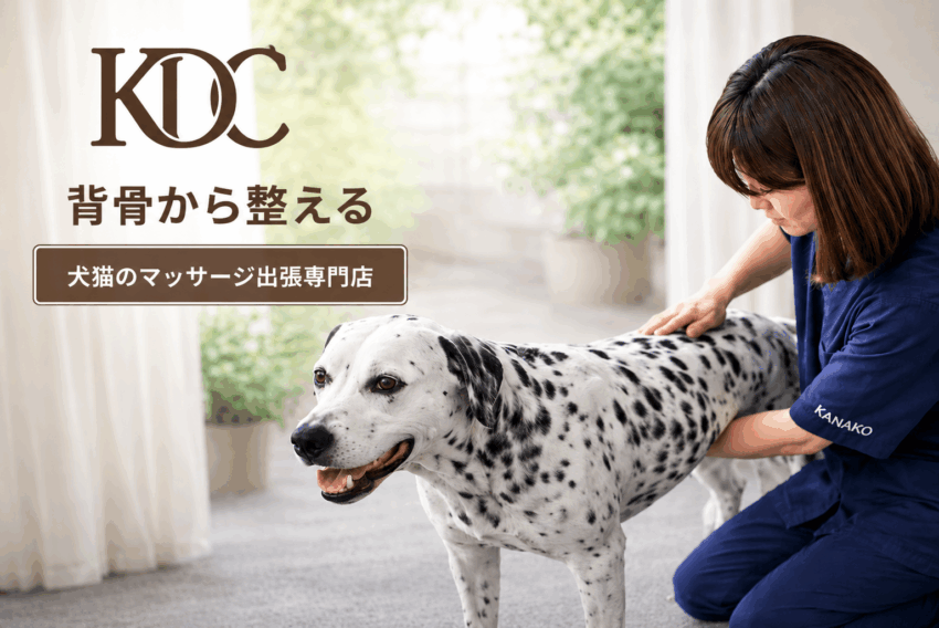 KDC(Kanako's Dog&Cat Chiropractic)