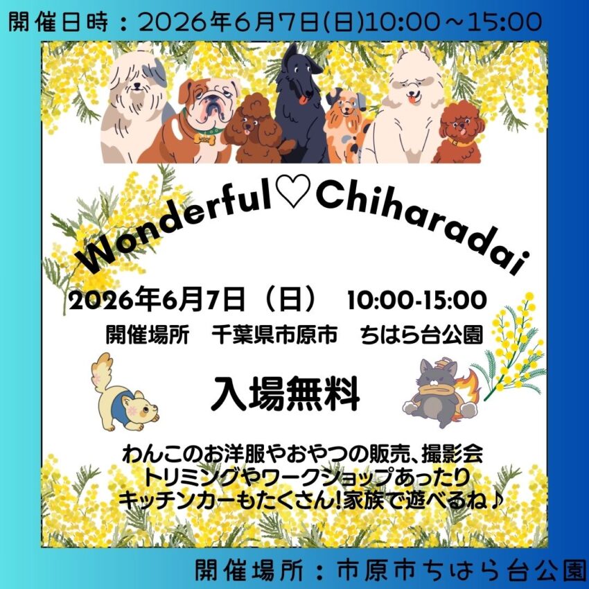 わんだふるちはらだい（千葉）