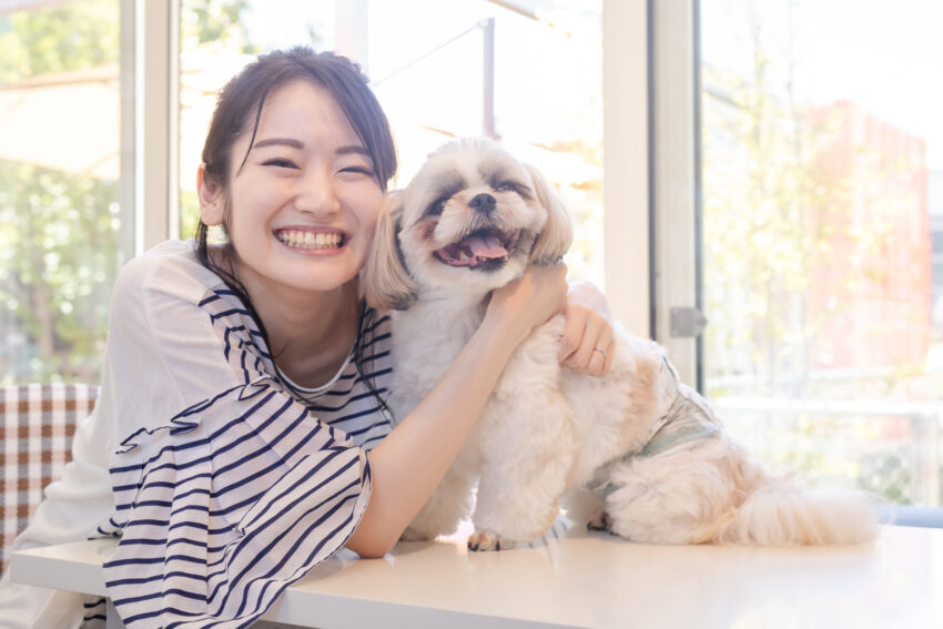 愛犬家の悩みを解決する”犬の専門家”を募集！！！