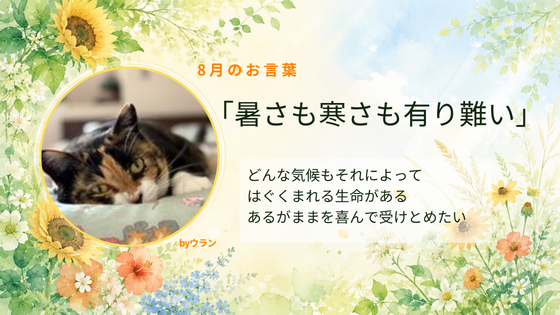 わんにゃんスマイル