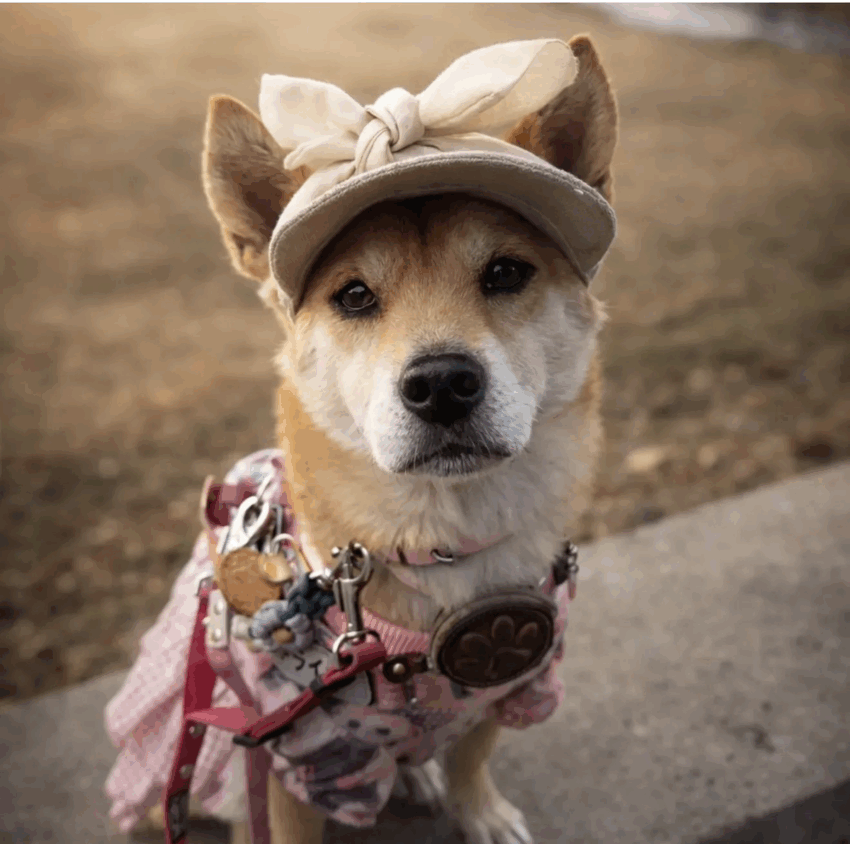 ライナ♀ ライナ♀