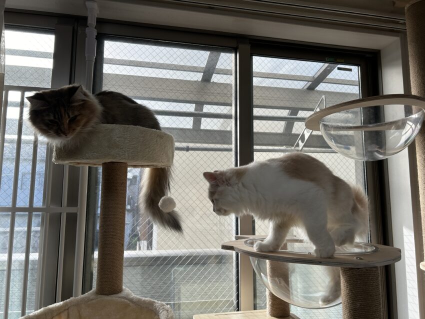 2歳になりました♡1