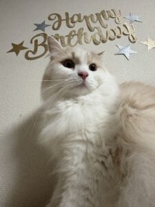 2歳になりました♡