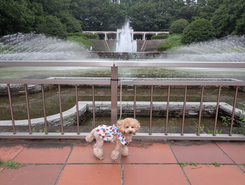 相模原公園
