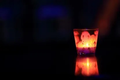 ネコにアロマは危険！？