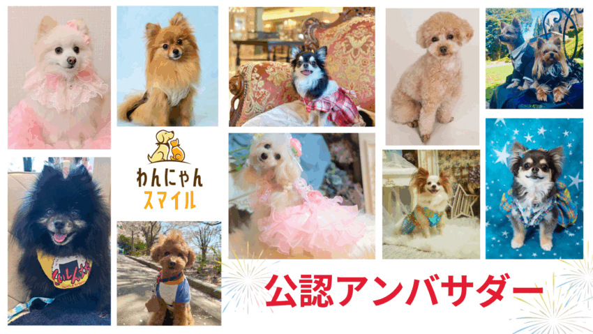 わんにゃんスマイル公認アンバサダー紹介ページ