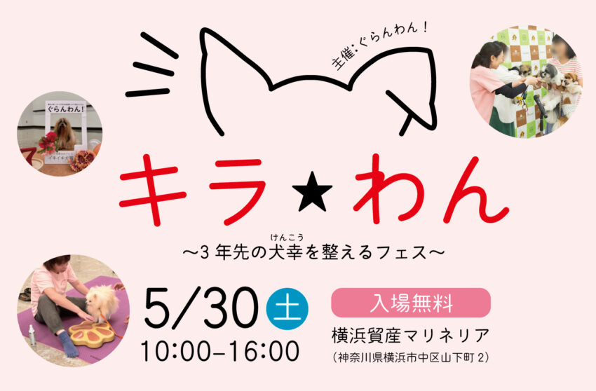 ぐらんわん！主催「キラキラ☆わんコラボ」（神奈川）