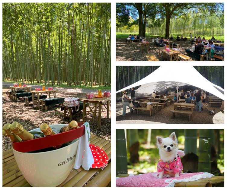 愛犬と、栃木若竹の杜バスツアー(栃木) 愛犬と、栃木若竹の杜バスツアー(栃木)