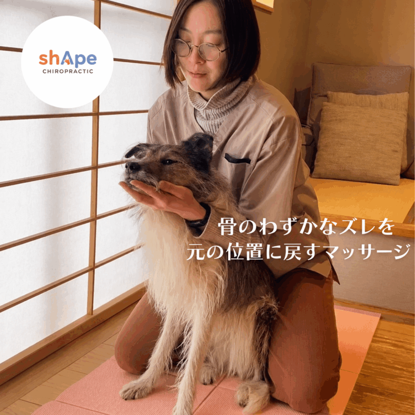 ペットのマッサージshApe
