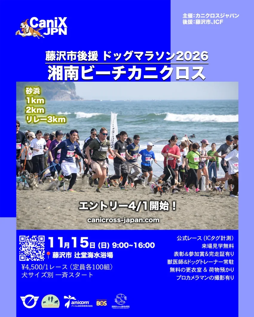 ドッグマラソン2026 湘南ビーチカニクロス（神奈川）