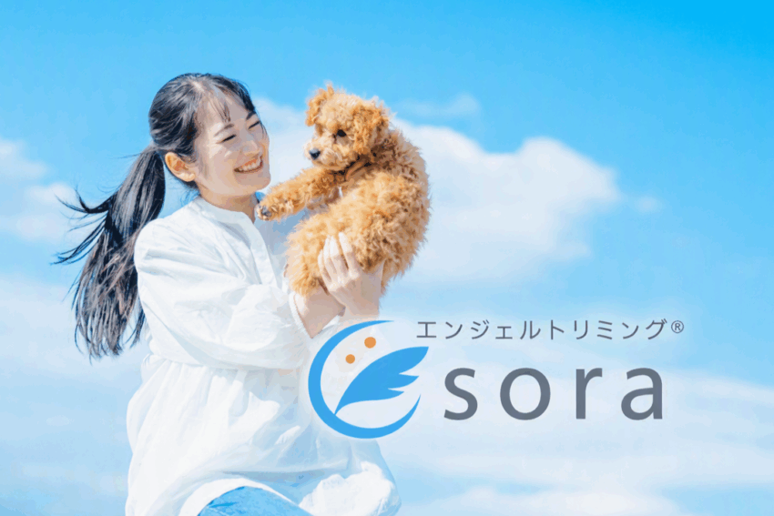 エンジェルトリミング®sora