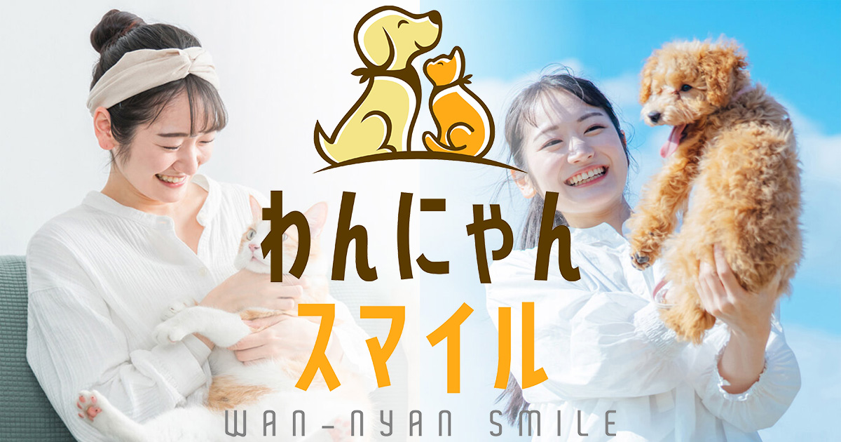 わんにゃんスマイルフェス2025・春の動画が出来ました！ | わん